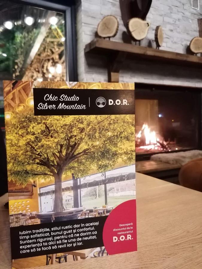 Chic Studio Silver Mountain 포이아나브라소프 외부 사진